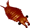 2KB